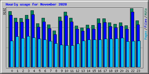 Hourly usage for November 2020