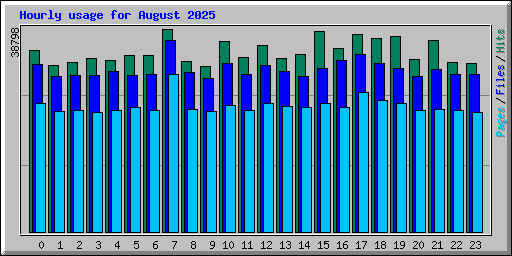 Hourly usage for August 2025
