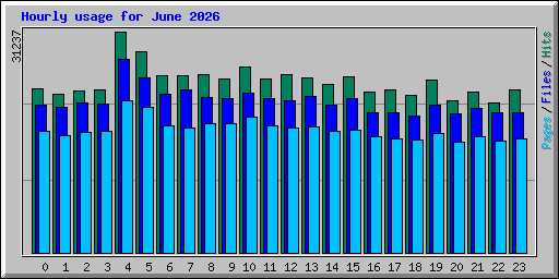 Hourly usage for June 2026